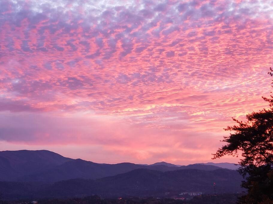 Вилла Yogi'S Den: Breathtaking Views! 3 Min To Dollywood, On 1 Acre! Севьервилл Экстерьер фото